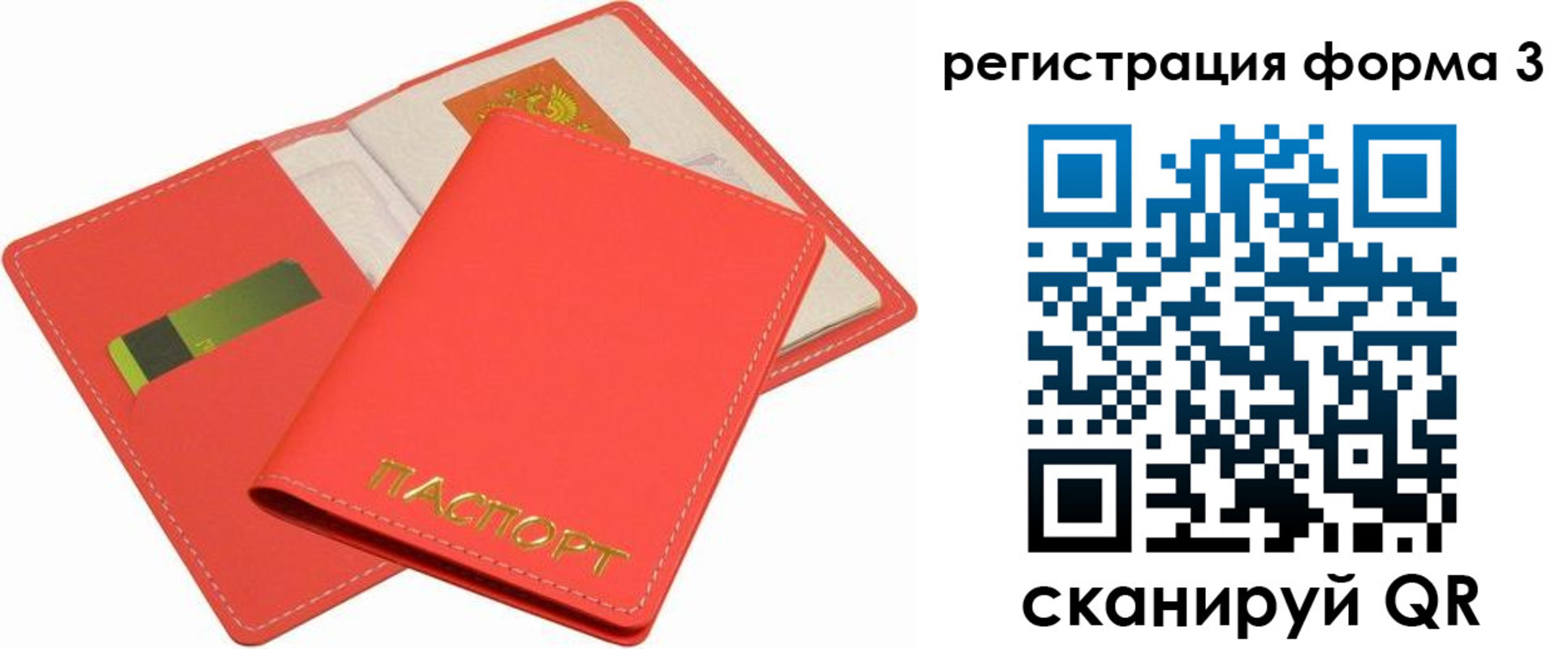 прописка для школы в Сольцах